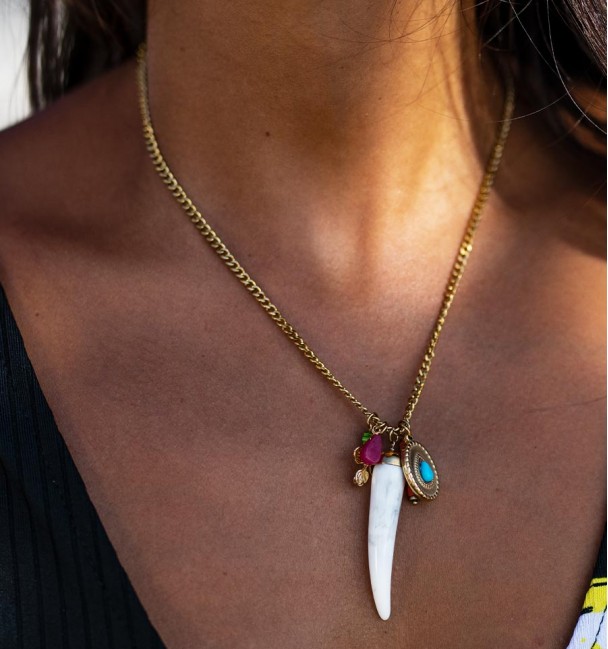 Collar de acero con diges y colmillo